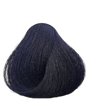 Signature Professional 2.0 Black Hair Color