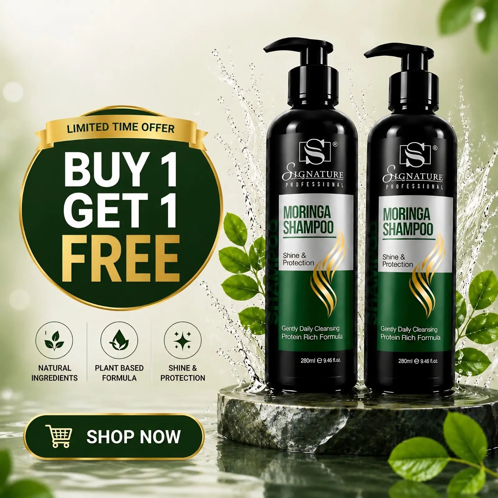 Moringa Shampoo