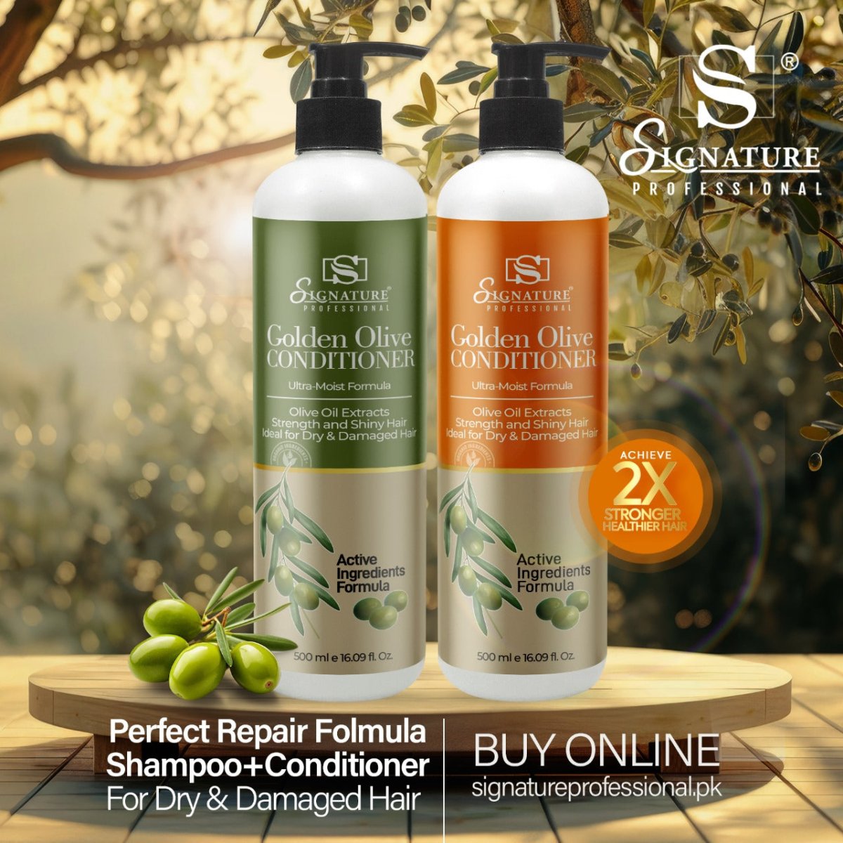 Signature Golden Olive Shampoo and conditioner for hair and skin care
