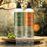 Signature Professional Golden Olive Shampoo + Conditioner